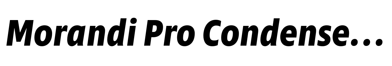 Morandi Pro Condensed Bold Italic